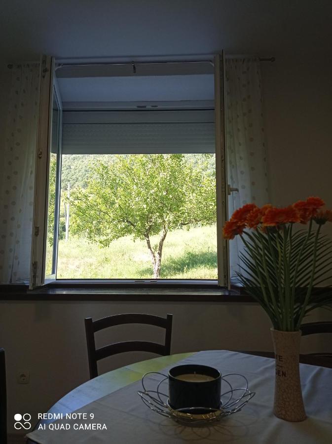 Studio Apartman Sonja Оточац Экстерьер фото